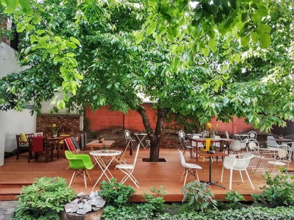 Casa Miron 1 Timişoara Exterior foto